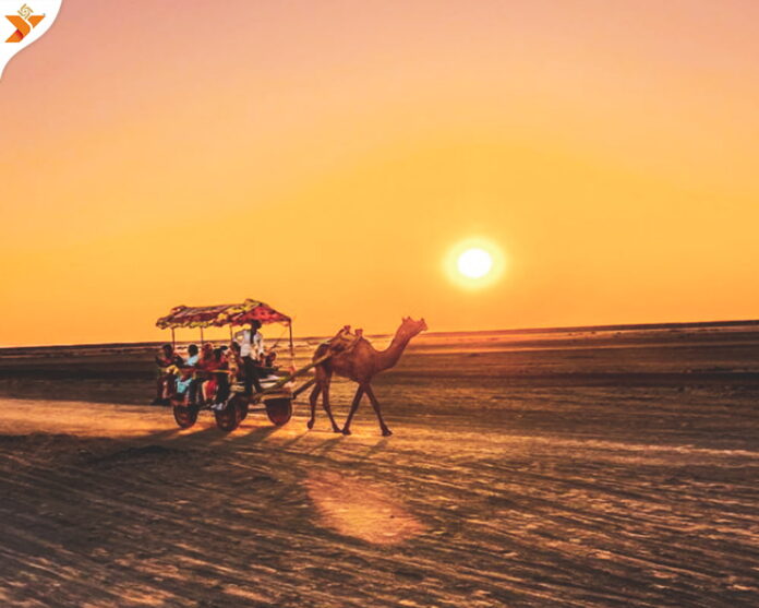 Things To Do In Kutch Rann Utsav Yatradham