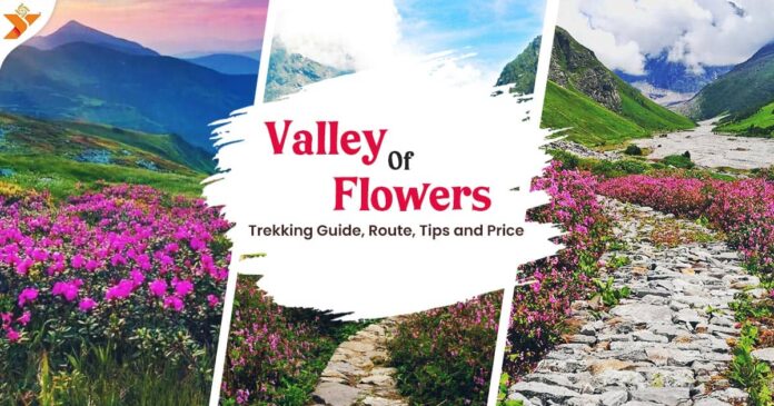 Valley Of Flowers Trekking Guide