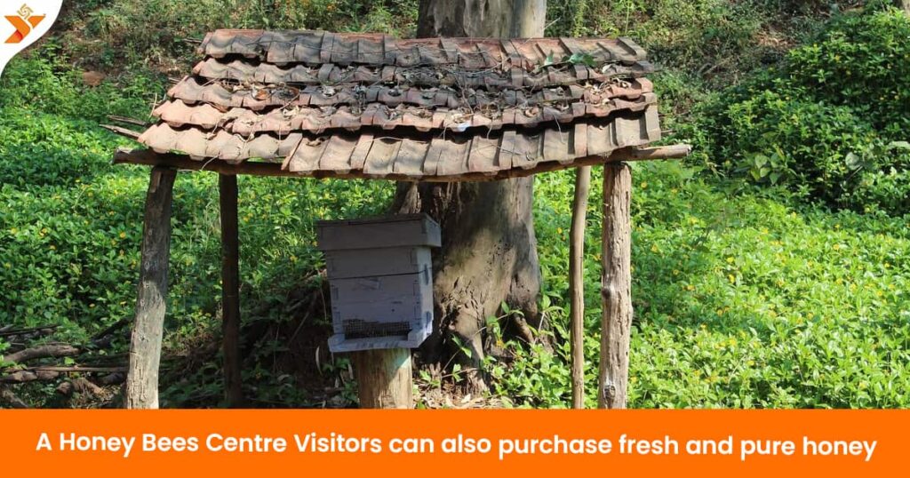 Honey Bee Centre Saputara