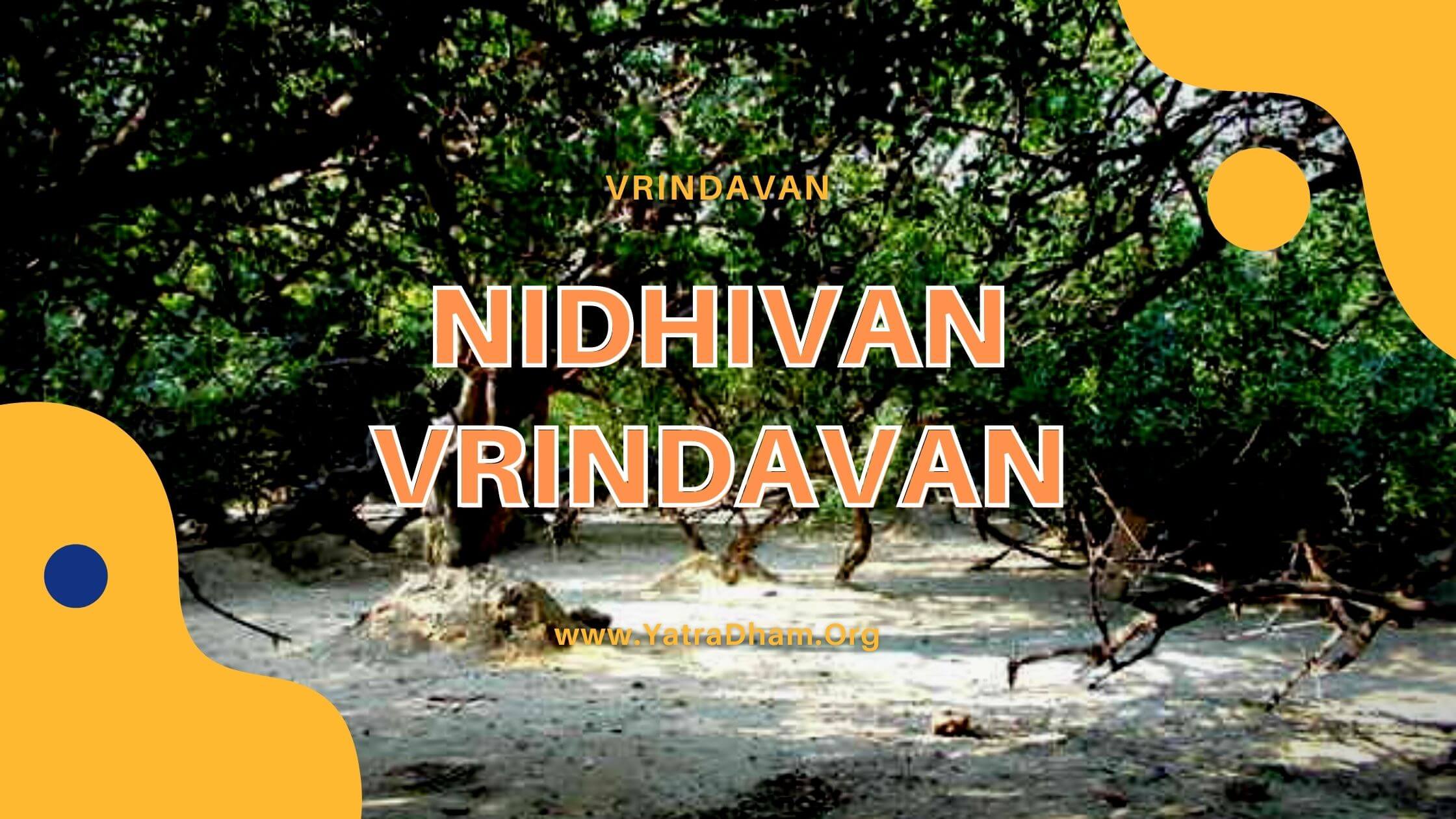 Nidhivan Vrindavan