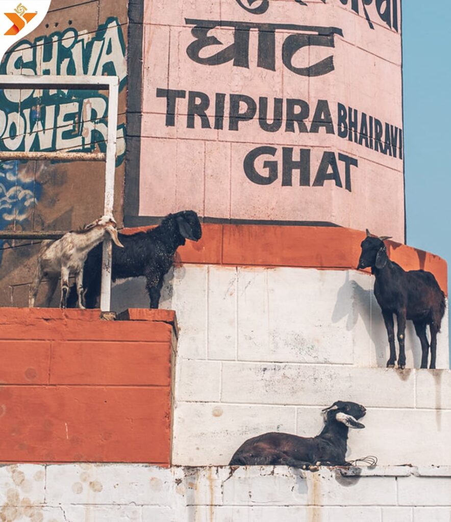 Tripura Bhairavi Ghat Varanasi