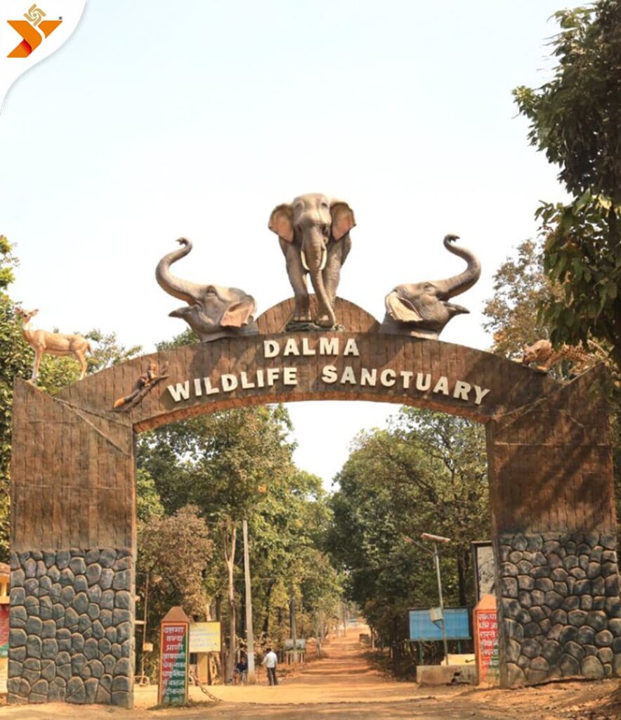Dalma Wildlife Sanctuary