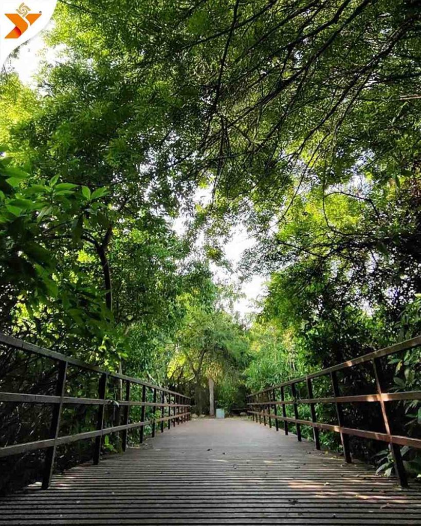 Adyar Eco Park