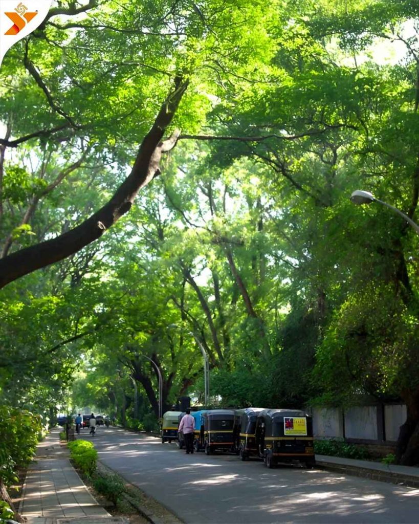 Koregaon Park