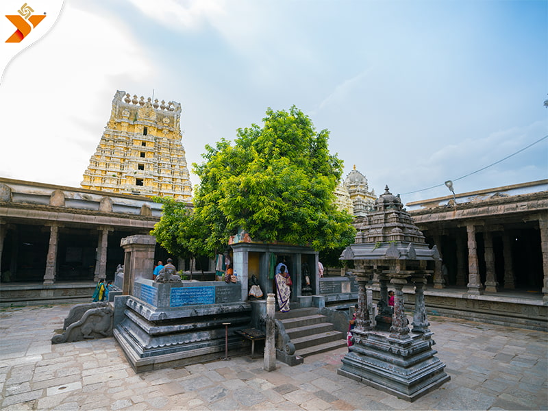 Ekambareswarar Temple, Kanchipuram