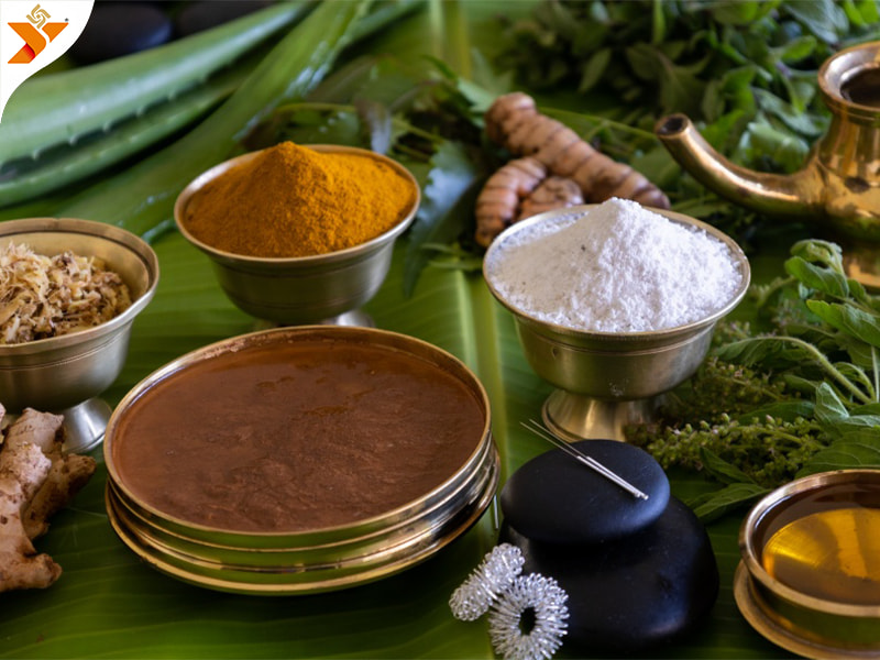 Naturopathy Centres in India